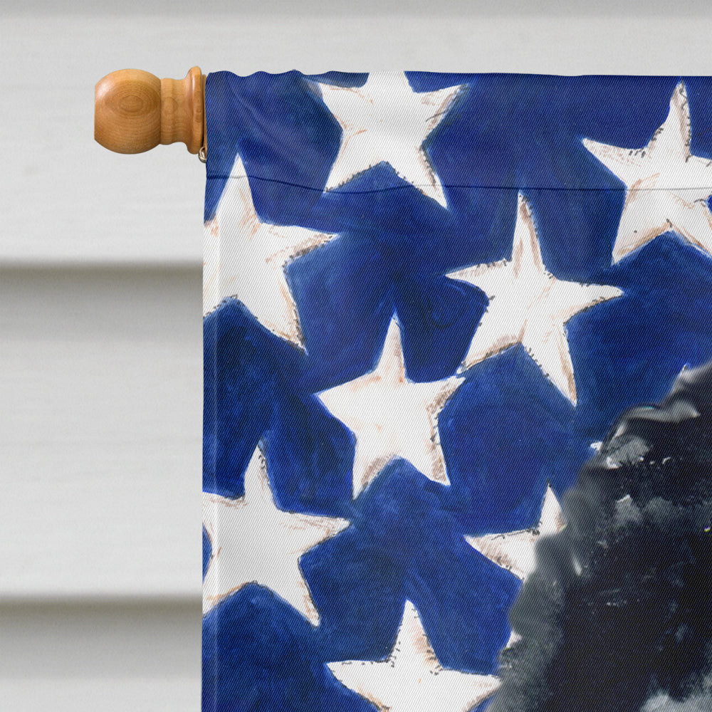 Newfoundland Patriotic House Flag 28x40 Porch Sleeve Pole Decorative Outside Yard Banner Artwork Wall Hanging, Polyester