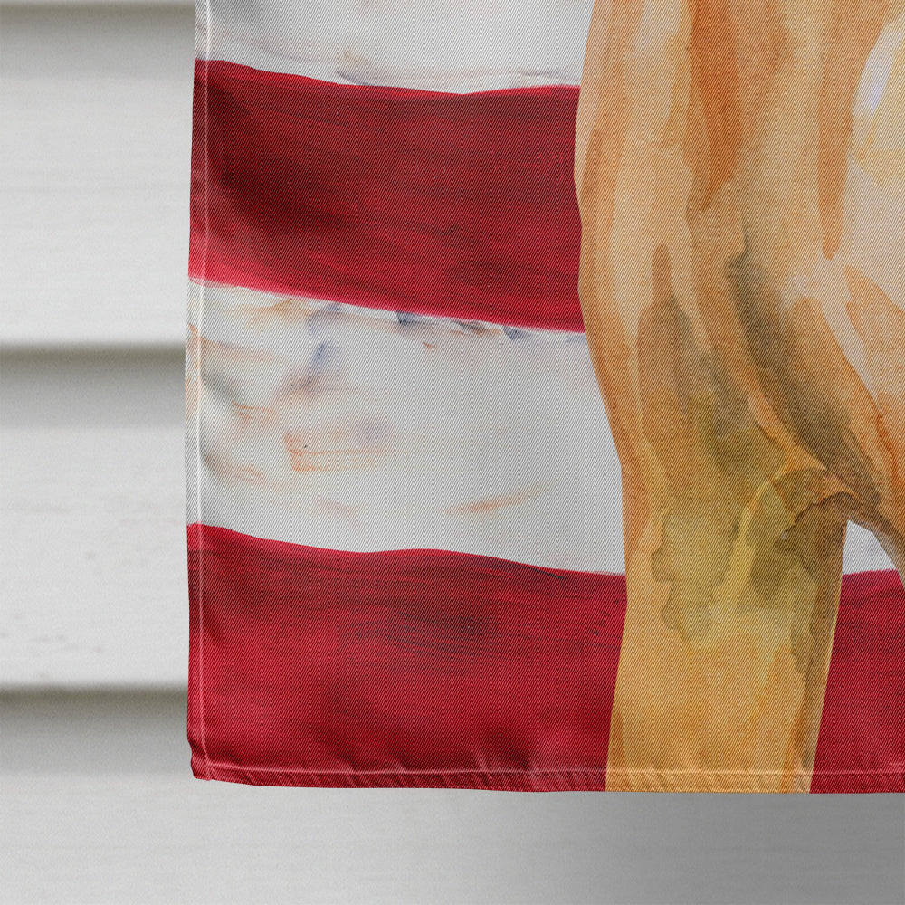 Rhodesian Ridgeback Patriotic House Flag 28x40 Porch Sleeve Pole Decorative Outside Yard Banner Artwork Wall Hanging, Polyester