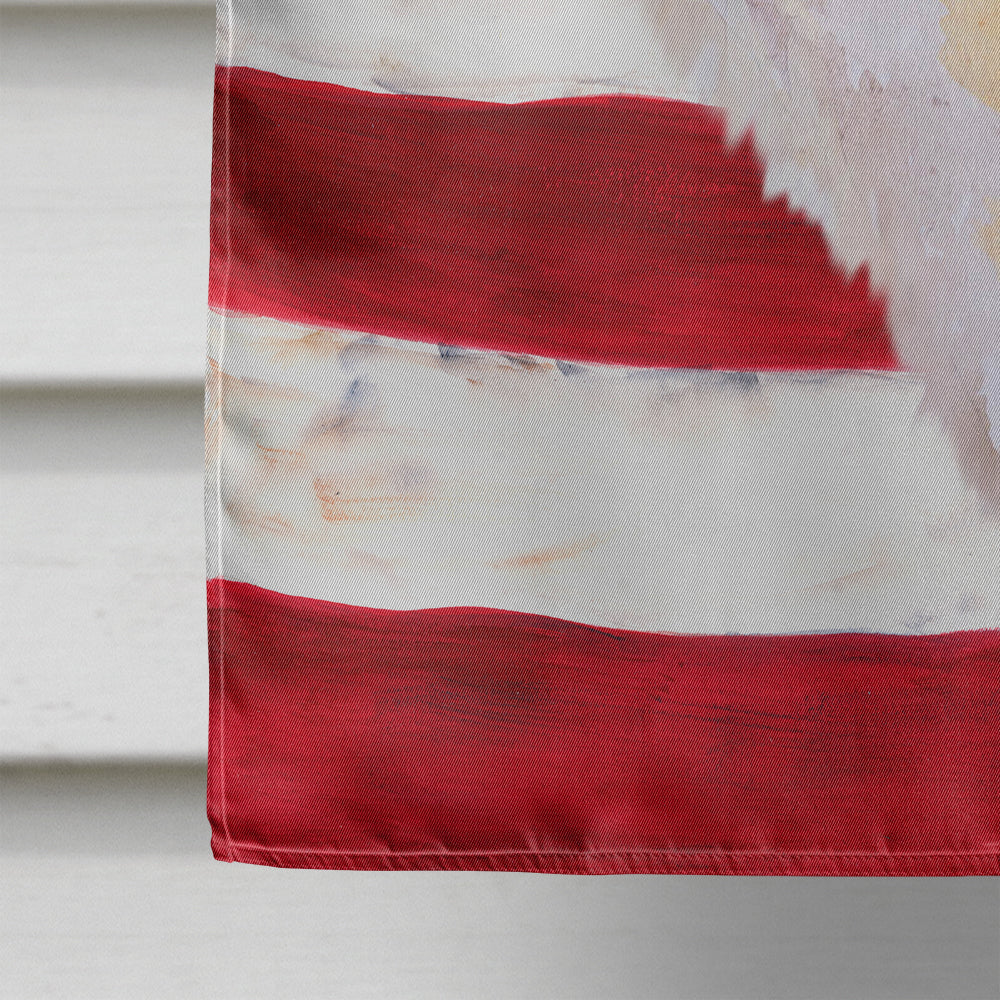Shiba Inu Patriotic House Flag 28x40 Porch Sleeve Pole Decorative Outside Yard Banner Artwork Wall Hanging, Polyester