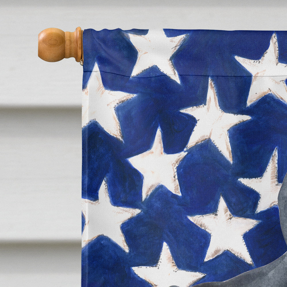 Cane Corso Patriotic House Flag 28x40 Porch Sleeve Pole Decorative Outside Yard Banner Artwork Wall Hanging, Polyester