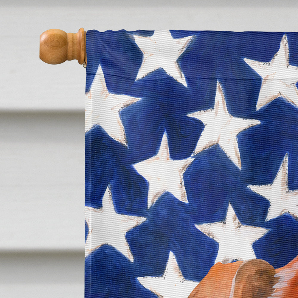 Red Dachshund Patriotic House Flag 28x40 Porch Sleeve Pole Decorative Outside Yard Banner Artwork Wall Hanging, Polyester