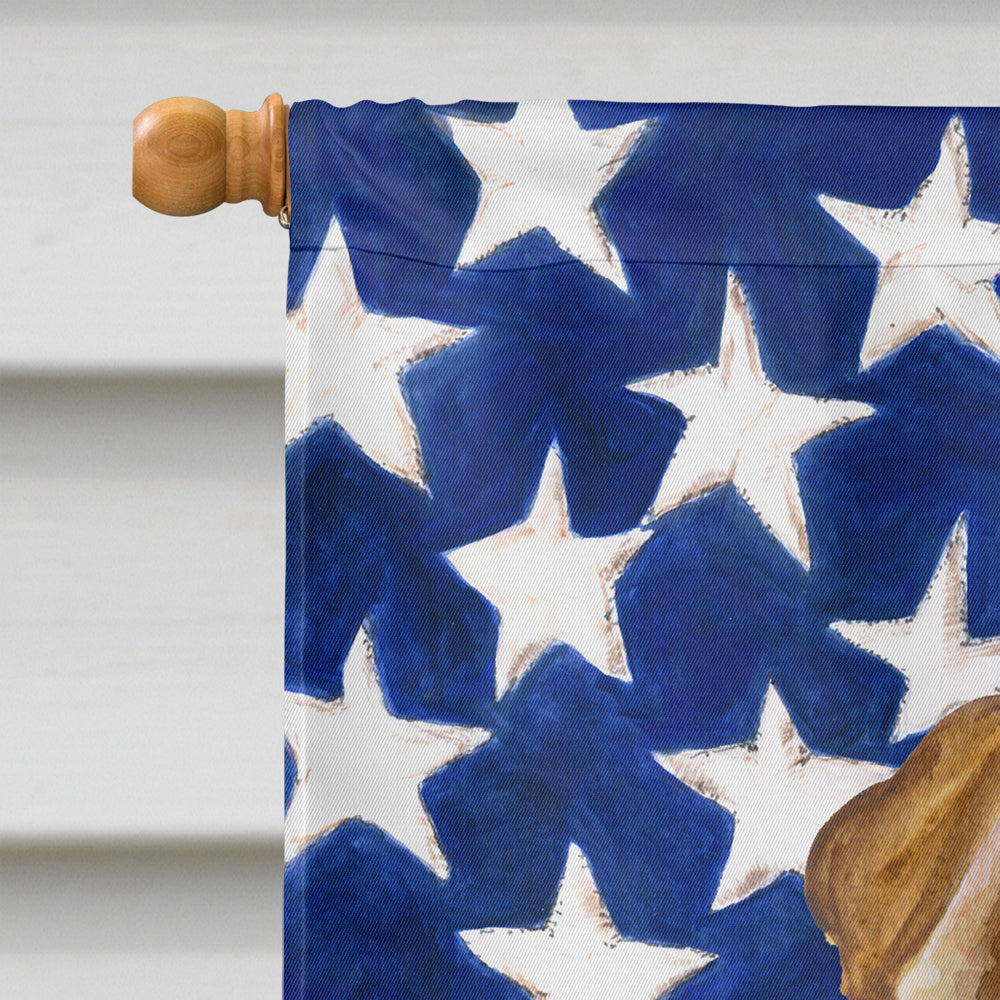 Shar Pei Puppy Patriotic House Flag 28x40 Porch Sleeve Pole Decorative Outside Yard Banner Artwork Wall Hanging, Polyester