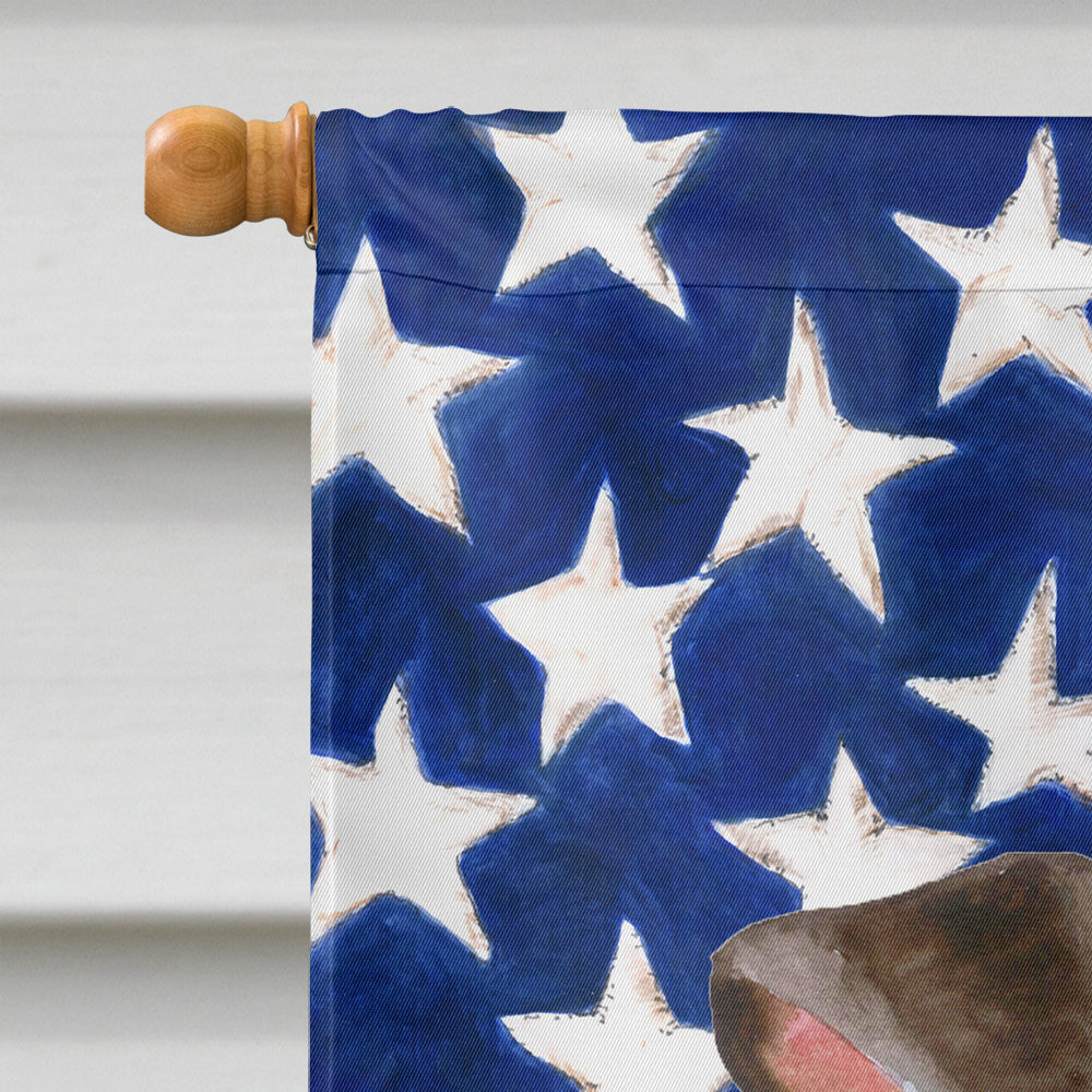 Miniature Pinscher #2 Patriotic House Flag 28x40 Porch Sleeve Pole Decorative Outside Yard Banner Artwork Wall Hanging, Polyester