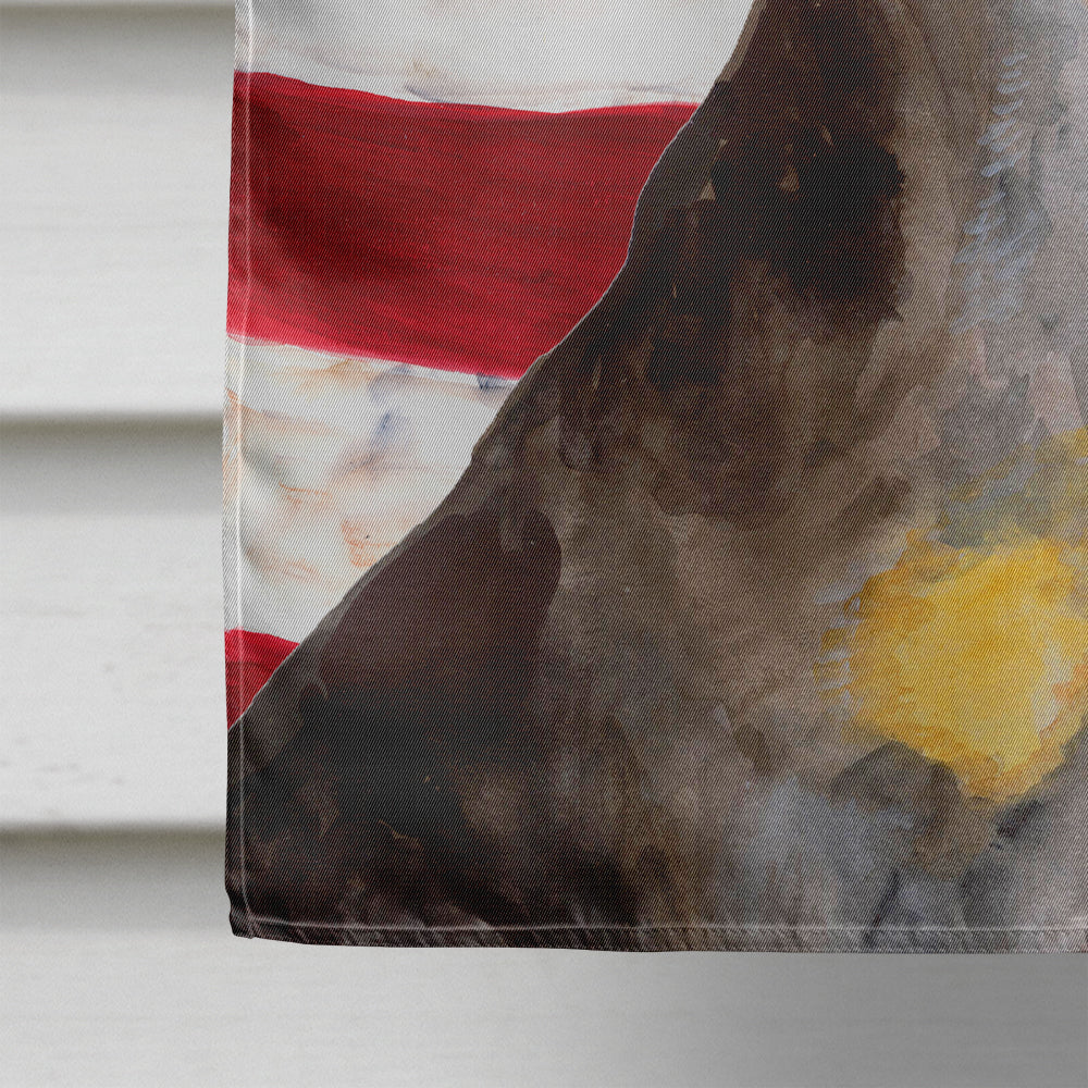 Miniature Pinscher #2 Patriotic House Flag 28x40 Porch Sleeve Pole Decorative Outside Yard Banner Artwork Wall Hanging, Polyester