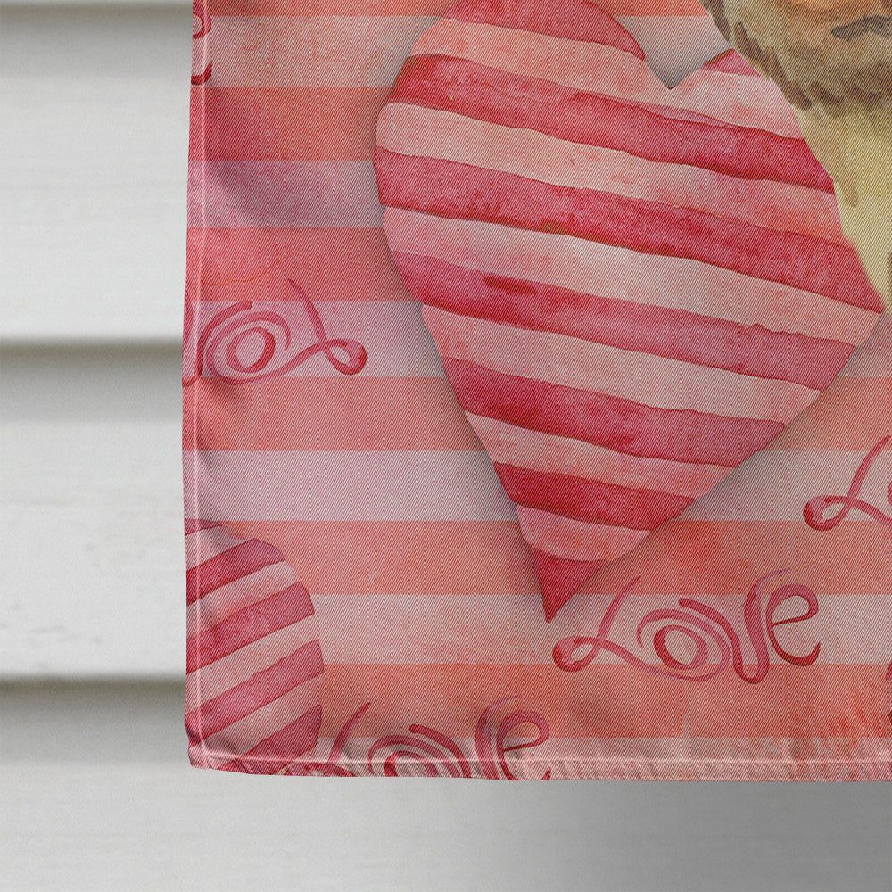 Dachshund Love House Flag 28x40 Porch Sleeve Pole Decorative Outside Yard Banner Artwork Wall Hanging, Polyester