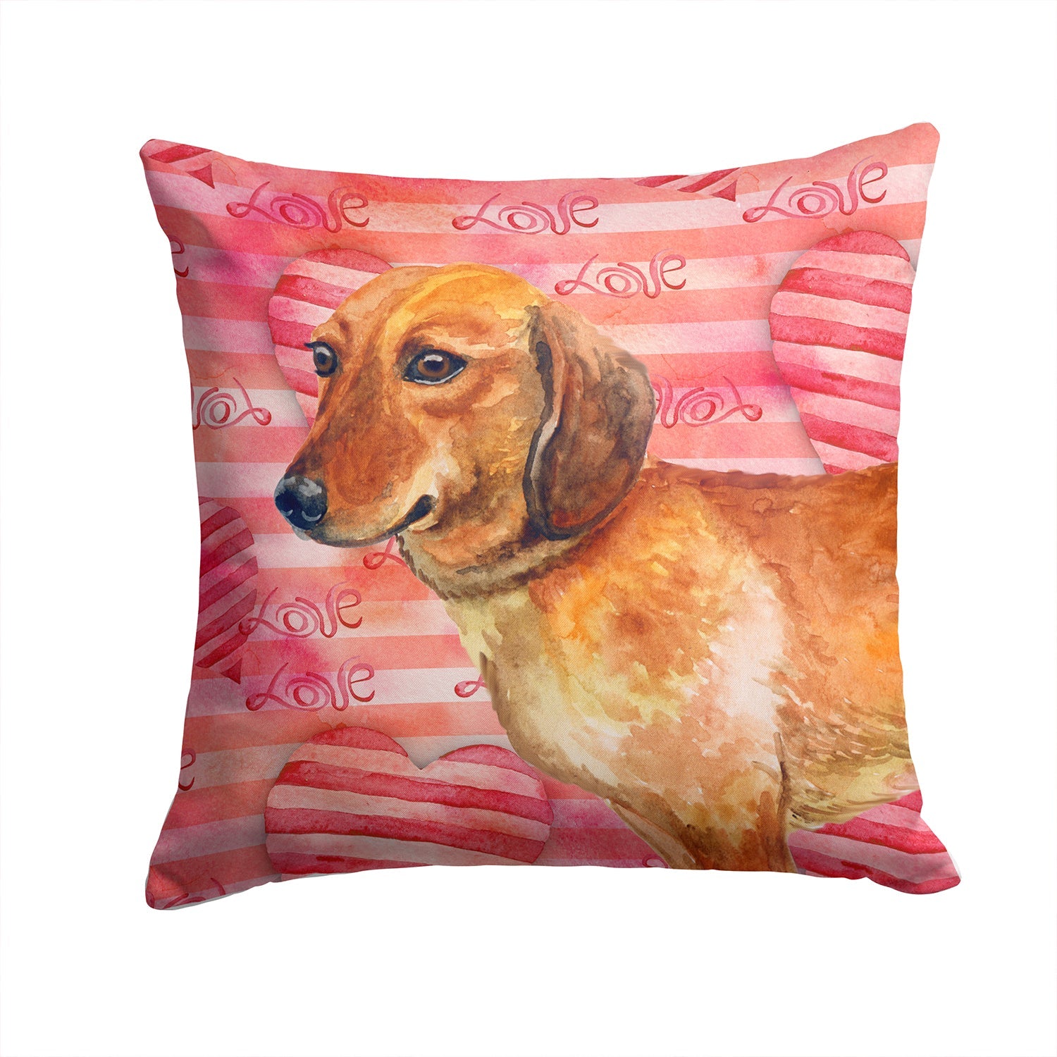 Dachshund Love Decorative Throw Pillow 14x14 Indoor Outdoor Accent Cushion, Fabric Cover with Insert for Sofa, Bed, Porch & Living Room