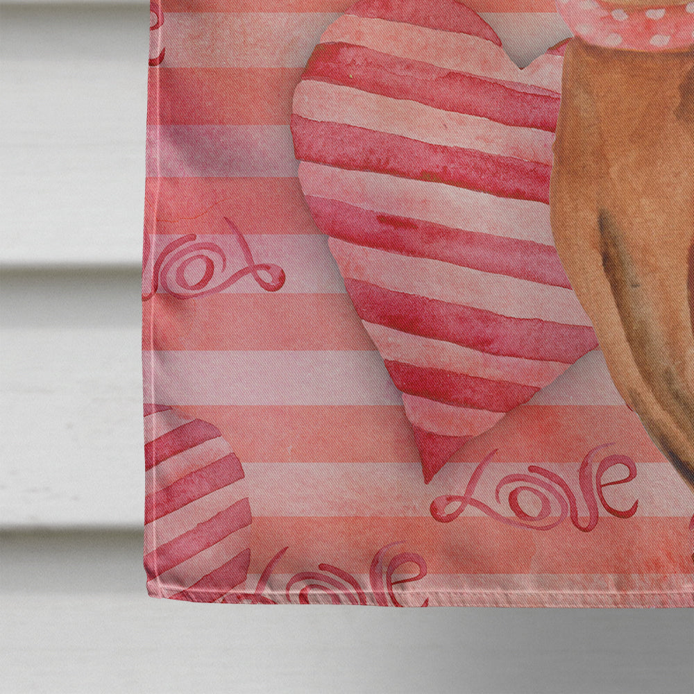 Miniature Pinscher Love House Flag 28x40 Porch Sleeve Pole Decorative Outside Yard Banner Artwork Wall Hanging, Polyester