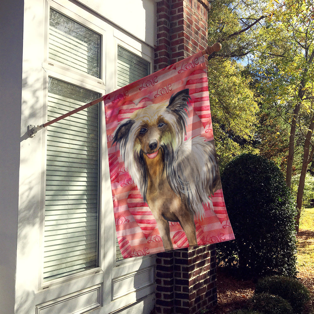 Chinese Crested Love House Flag 28x40 Porch Sleeve Pole Decorative Outside Yard Banner Artwork Wall Hanging, Polyester