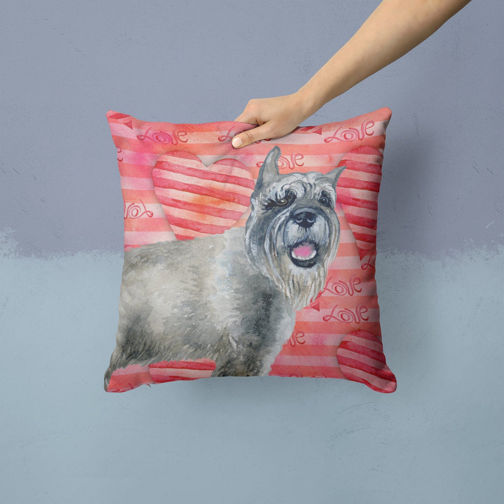 Schnauzer Love Decorative Throw Pillow 14x14 Indoor Outdoor Accent Cushion, Fabric Cover with Insert for Sofa, Bed, Porch & Living Room
