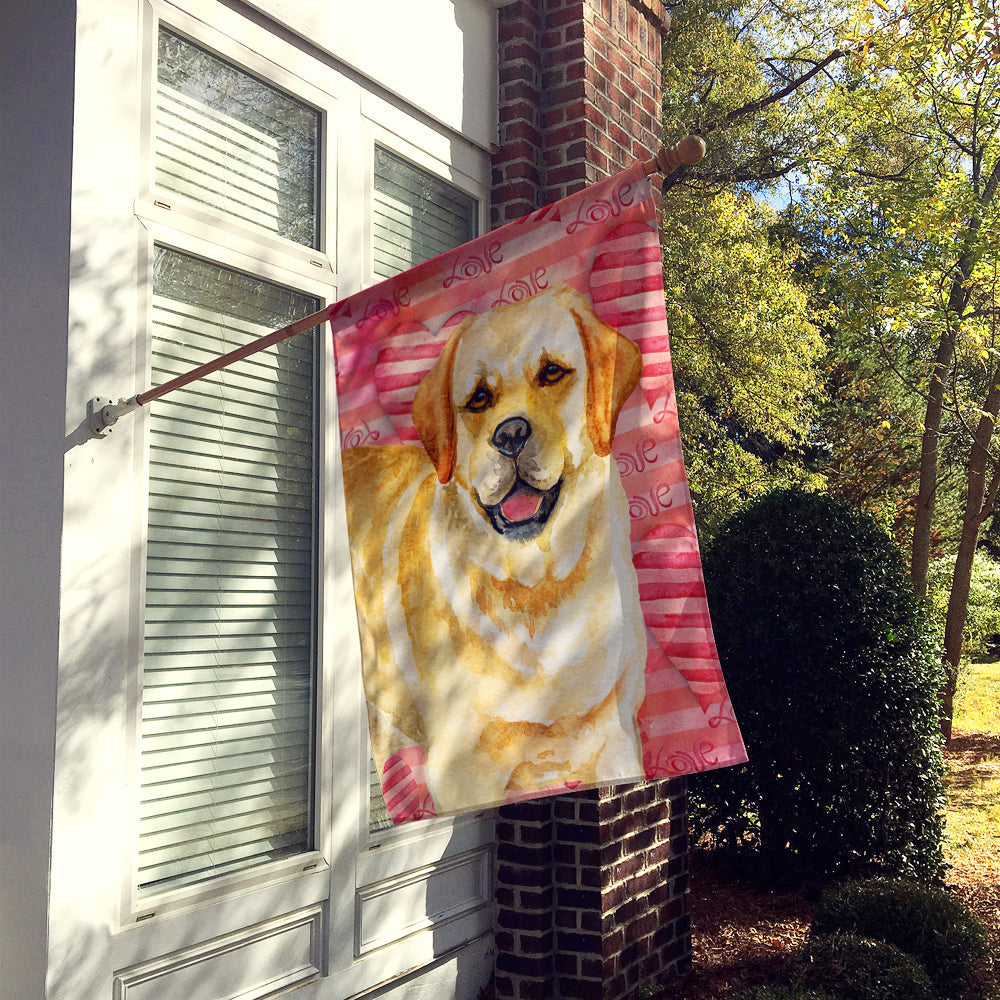Golden Retriever Love House Flag 28x40 Porch Sleeve Pole Decorative Outside Yard Banner Artwork Wall Hanging, Polyester