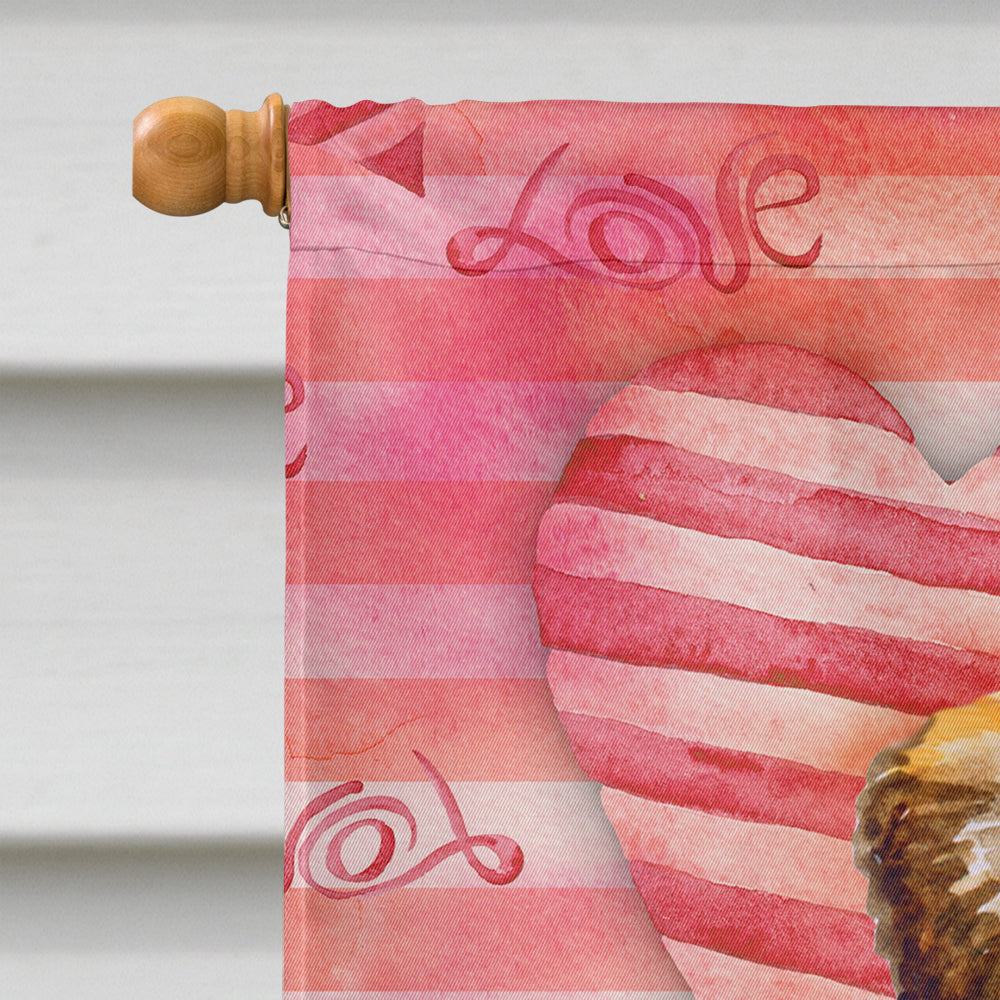 Small Brabant Griffon Love House Flag 28x40 Porch Sleeve Pole Decorative Outside Yard Banner Artwork Wall Hanging, Polyester
