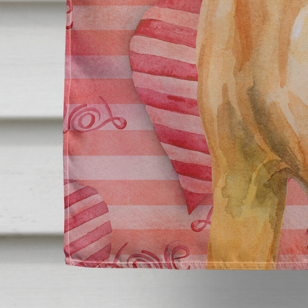 Rhodesian Ridgeback Love House Flag 28x40 Porch Sleeve Pole Decorative Outside Yard Banner Artwork Wall Hanging, Polyester