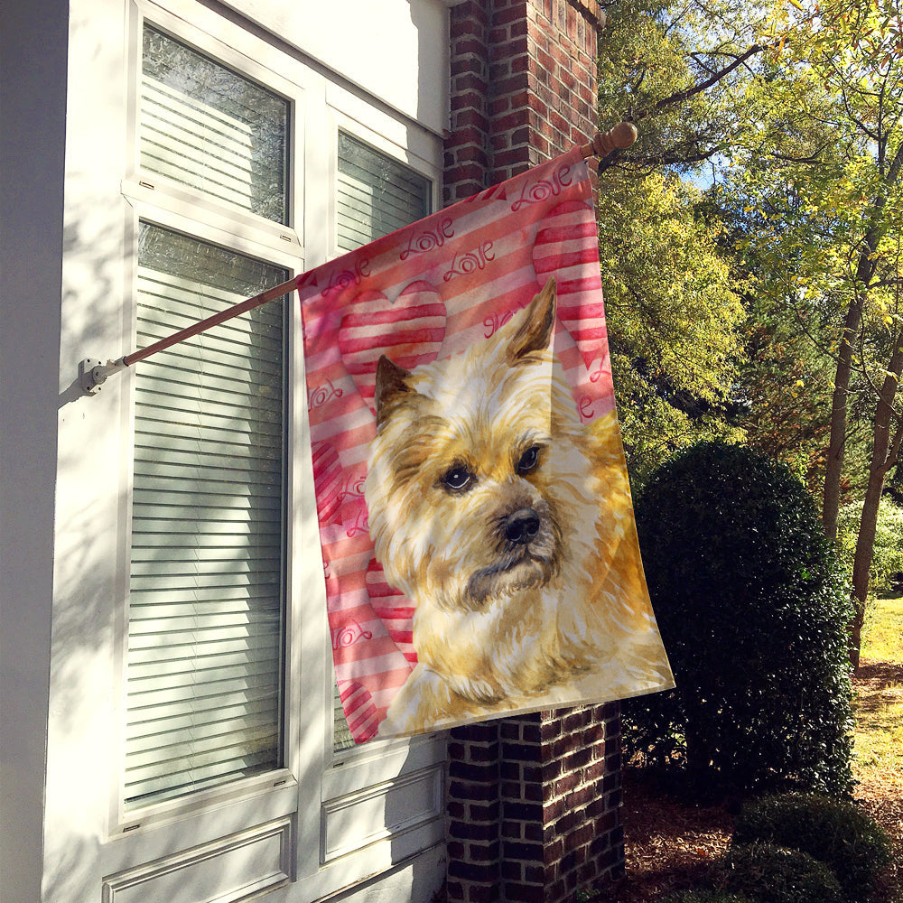 Cairn Terrier Love House Flag 28x40 Porch Sleeve Pole Decorative Outside Yard Banner Artwork Wall Hanging, Polyester