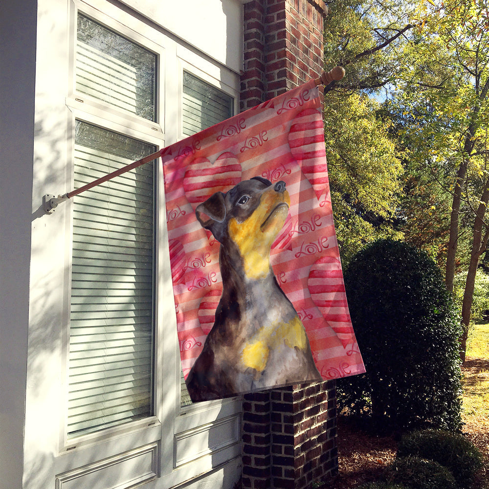 Miniature Pinscher #2 Love House Flag 28x40 Porch Sleeve Pole Decorative Outside Yard Banner Artwork Wall Hanging, Polyester