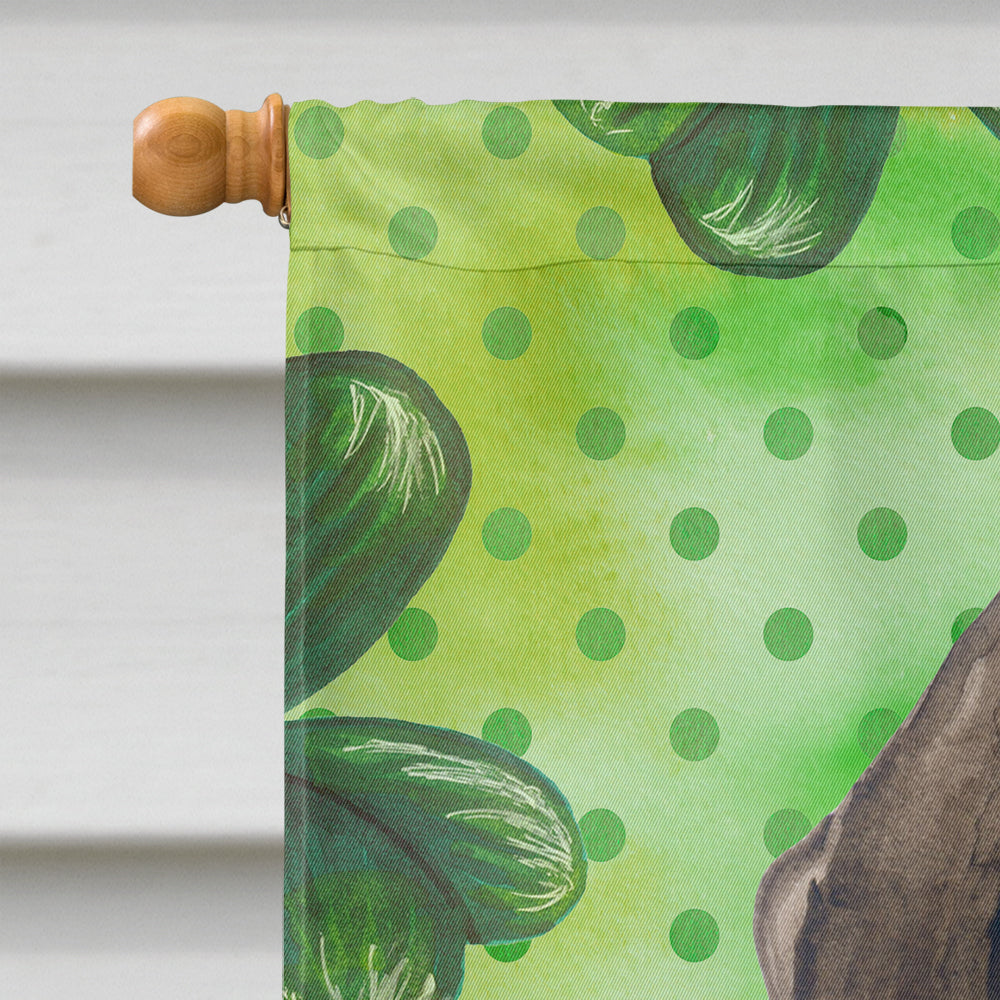 German Shorthaired Pointer St Patrick's House Flag 28x40 Porch Sleeve Pole Decorative Outside Yard Banner Artwork Wall Hanging, Polyester