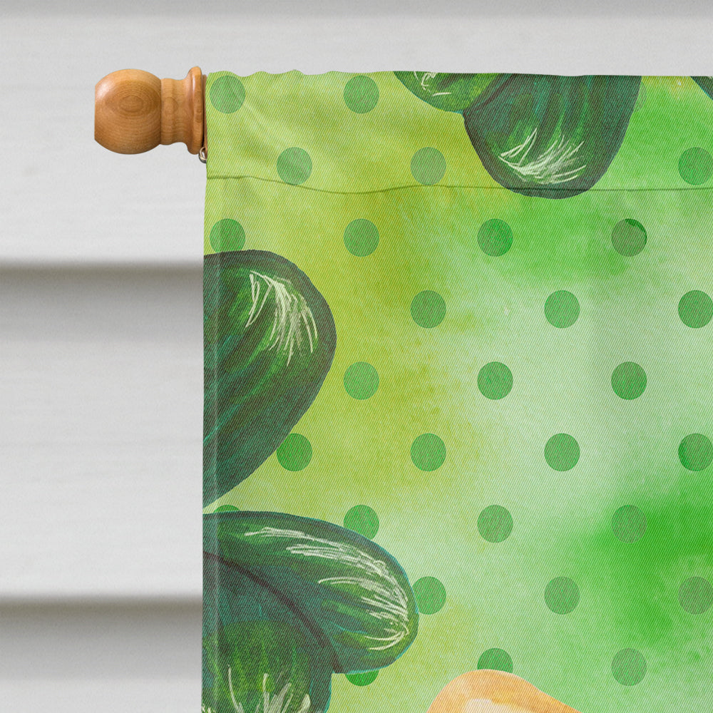 Pembroke Corgi St Patrick's House Flag 28x40 Porch Sleeve Pole Decorative Outside Yard Banner Artwork Wall Hanging, Polyester