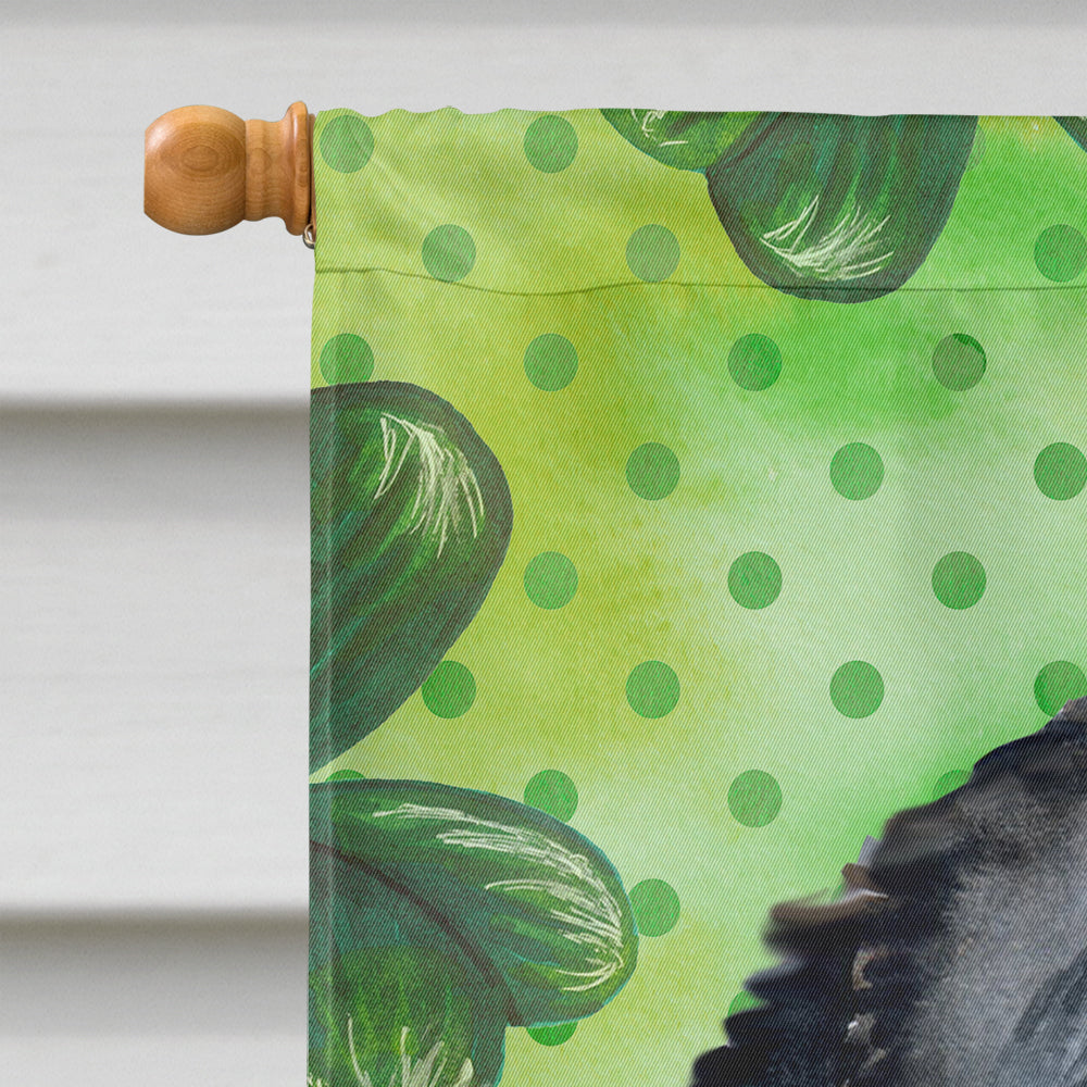 Bernese Mountain Dog St Patrick's House Flag 28x40 Porch Sleeve Pole Decorative Outside Yard Banner Artwork Wall Hanging, Polyester