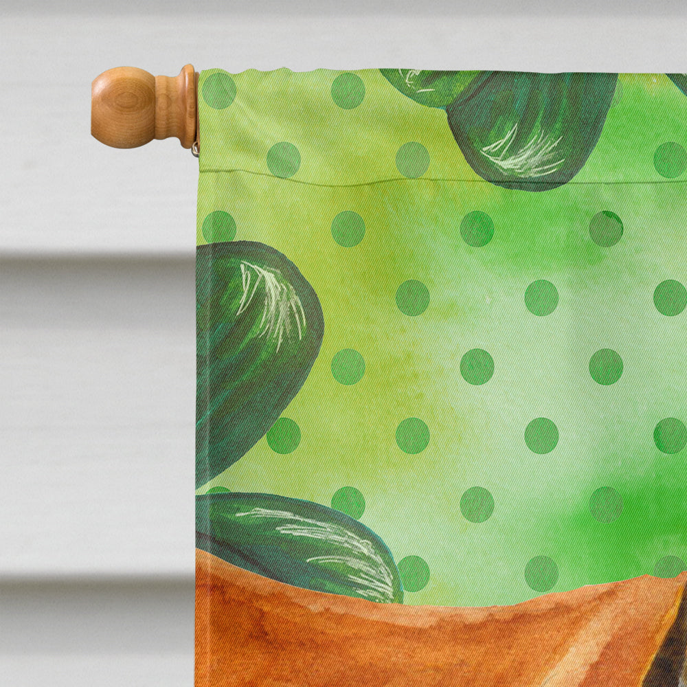 Boerboel Mastiff St Patrick's House Flag 28x40 Porch Sleeve Pole Decorative Outside Yard Banner Artwork Wall Hanging, Polyester