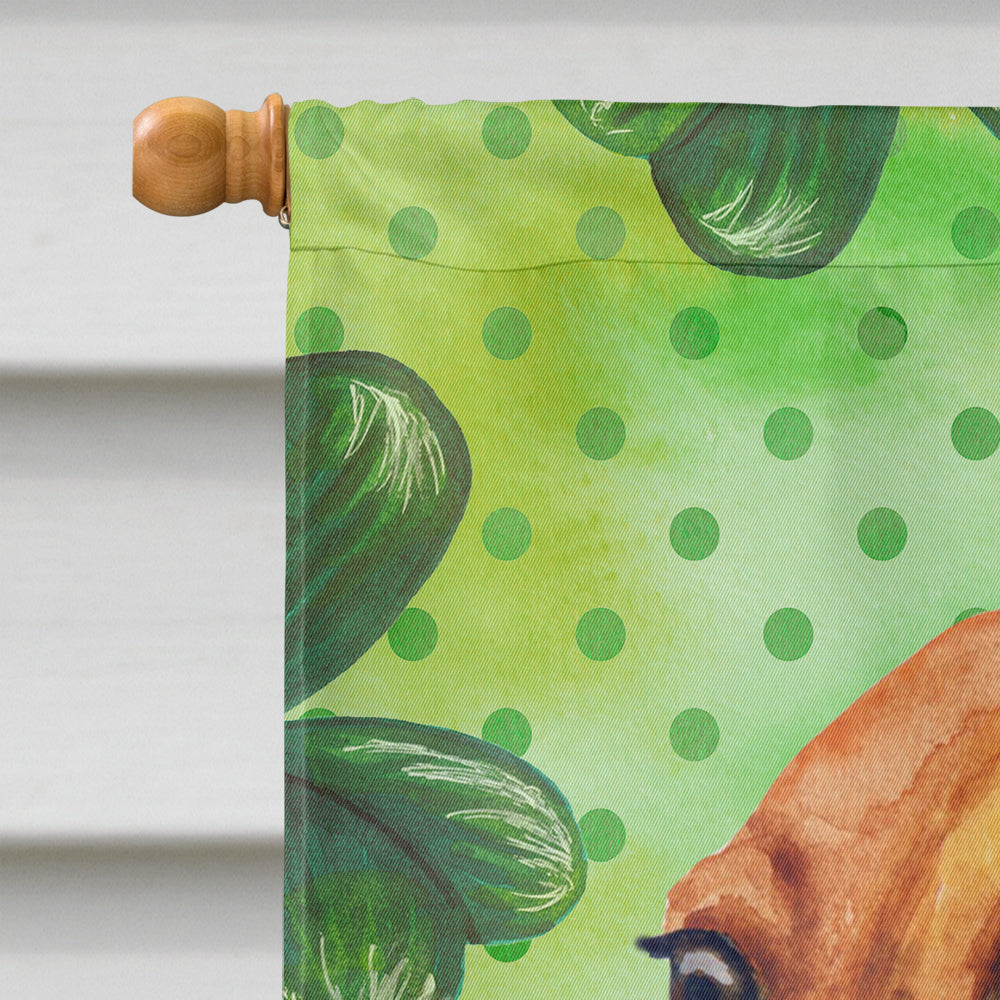 Dachshund St Patrick's House Flag 28x40 Porch Sleeve Pole Decorative Outside Yard Banner Artwork Wall Hanging, Polyester