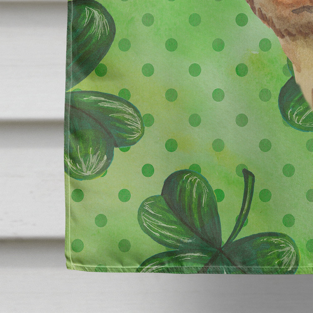 Dachshund St Patrick's House Flag 28x40 Porch Sleeve Pole Decorative Outside Yard Banner Artwork Wall Hanging, Polyester