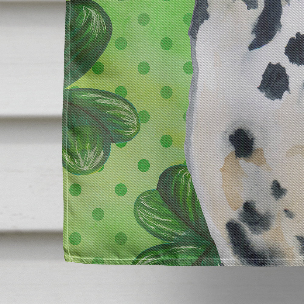Dalmatian St Patrick's House Flag 28x40 Porch Sleeve Pole Decorative Outside Yard Banner Artwork Wall Hanging, Polyester
