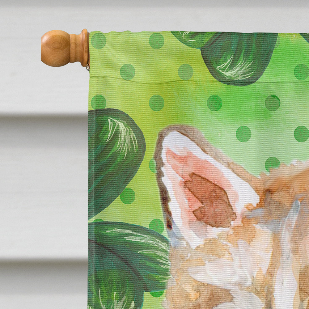 Siberian Husky St Patrick's House Flag 28x40 Porch Sleeve Pole Decorative Outside Yard Banner Artwork Wall Hanging, Polyester