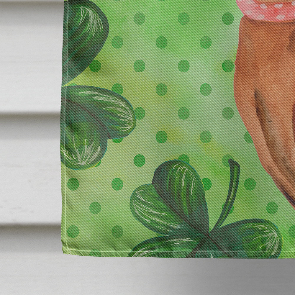 Miniature Pinscher St Patrick's House Flag 28x40 Porch Sleeve Pole Decorative Outside Yard Banner Artwork Wall Hanging, Polyester
