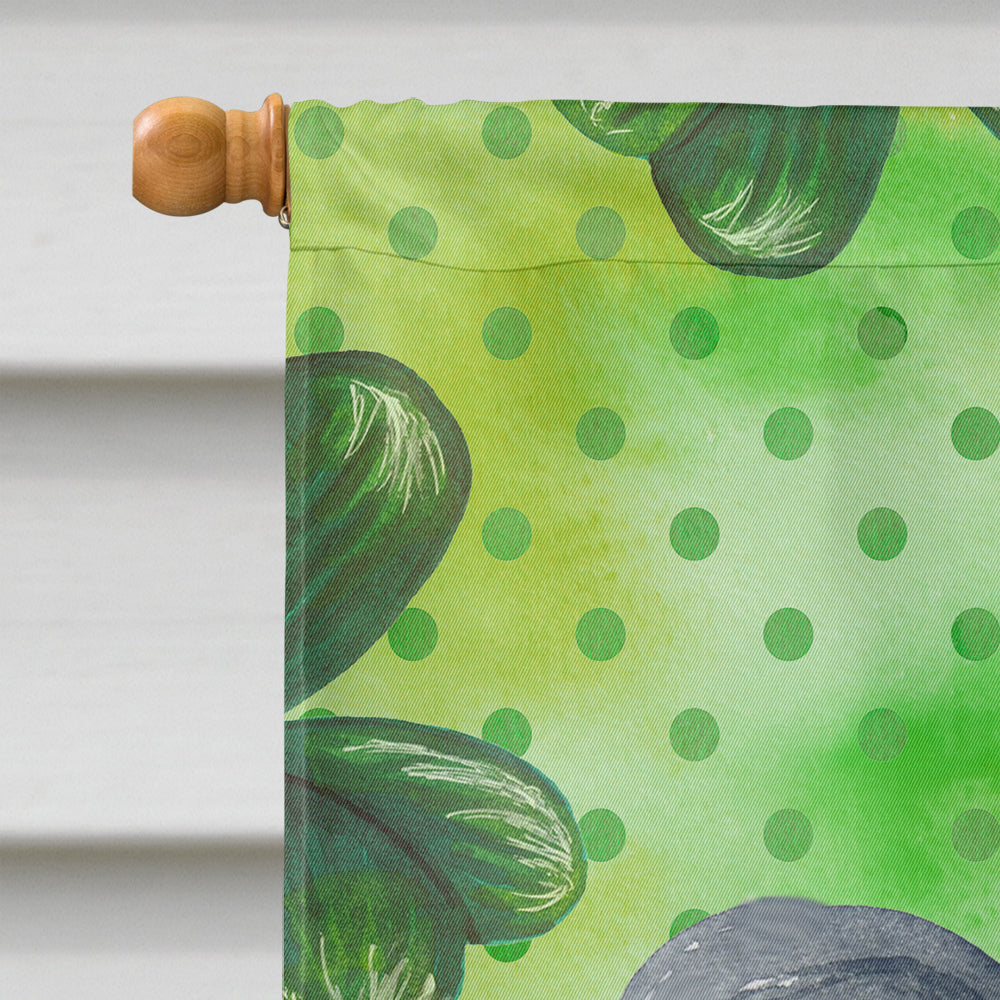 Papillon St Patrick's House Flag 28x40 Porch Sleeve Pole Decorative Outside Yard Banner Artwork Wall Hanging, Polyester