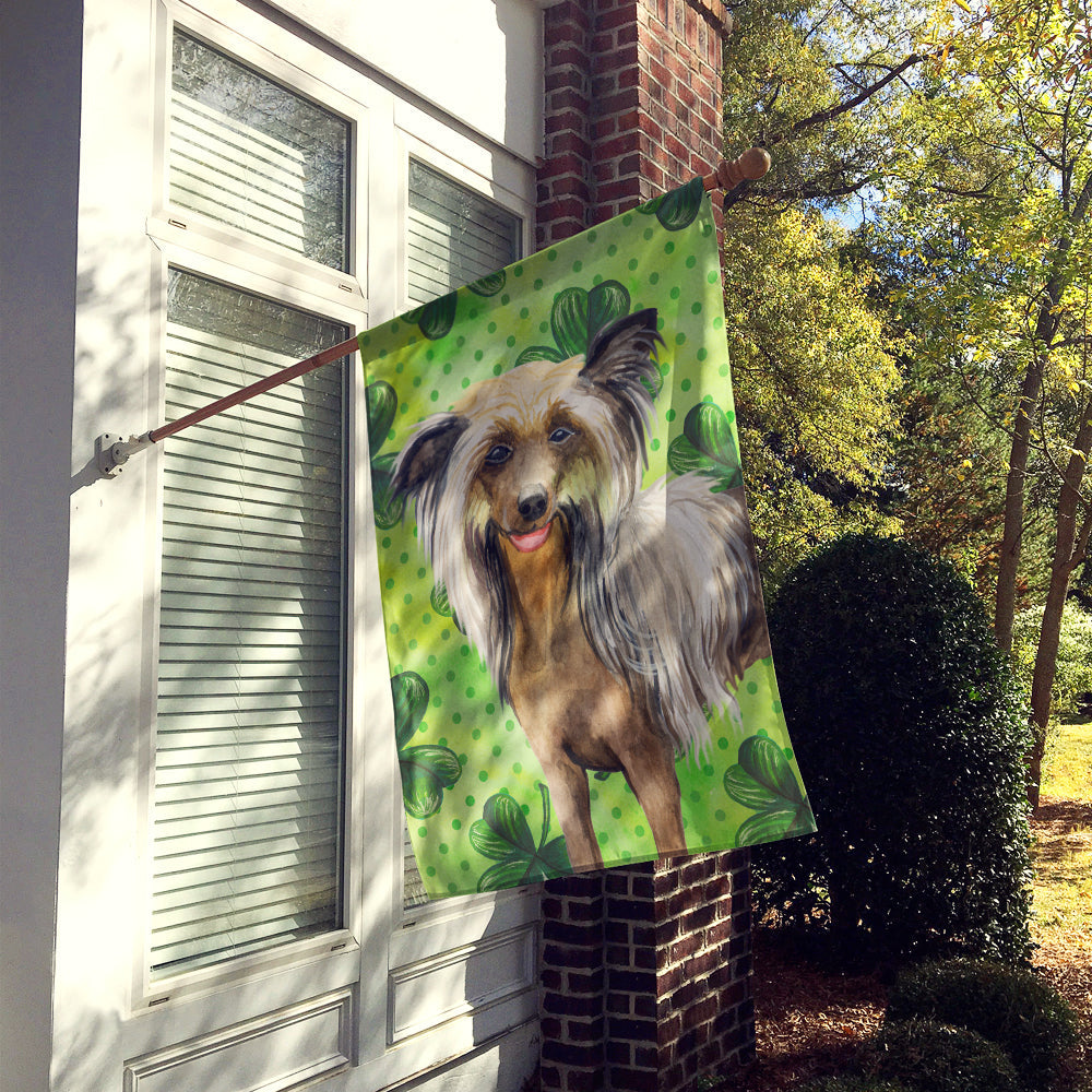 Chinese Crested St Patrick's House Flag 28x40 Porch Sleeve Pole Decorative Outside Yard Banner Artwork Wall Hanging, Polyester