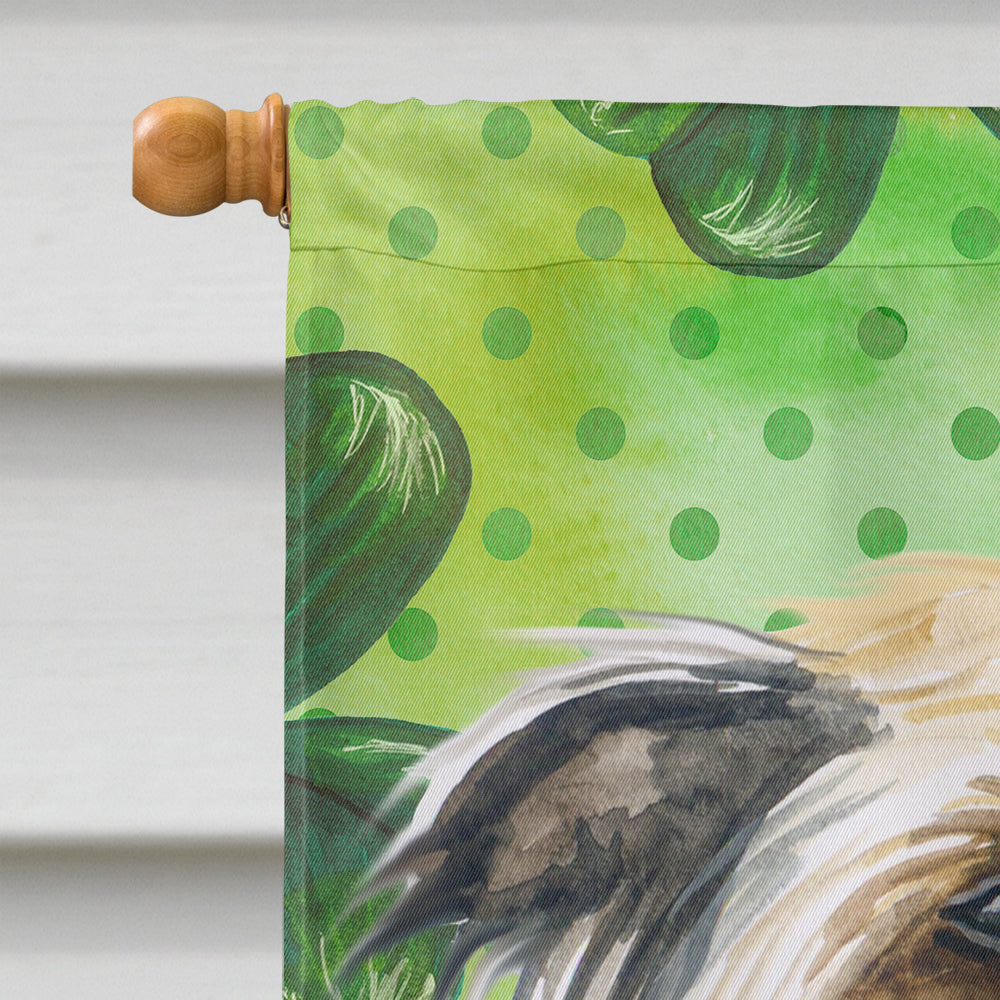 Chinese Crested St Patrick's House Flag 28x40 Porch Sleeve Pole Decorative Outside Yard Banner Artwork Wall Hanging, Polyester