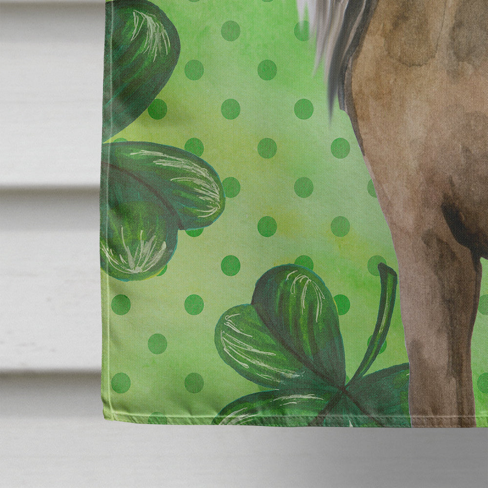 Chinese Crested St Patrick's House Flag 28x40 Porch Sleeve Pole Decorative Outside Yard Banner Artwork Wall Hanging, Polyester