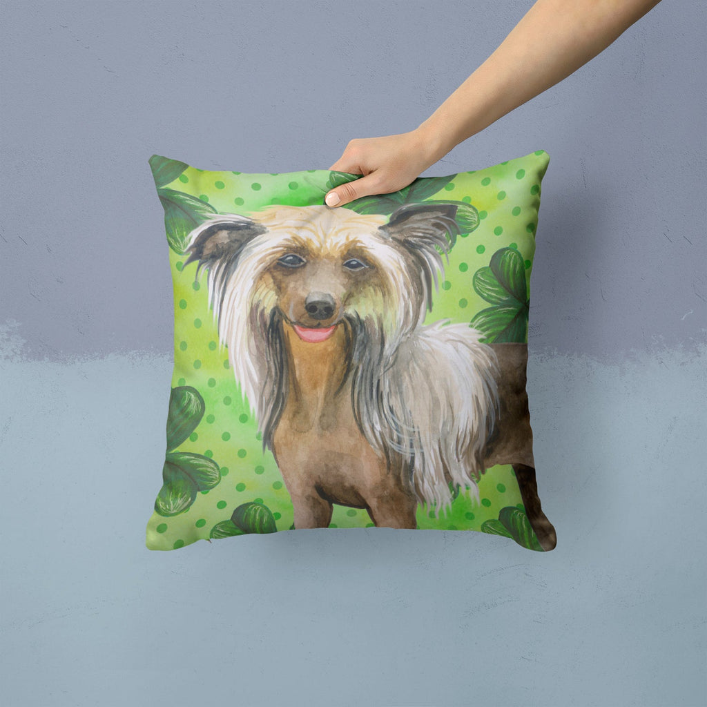 Chinese Crested St Patrick's Decorative Throw Pillow 14x14 Indoor Outdoor Accent Cushion, Fabric Cover with Insert for Sofa, Bed, Porch & Living Room