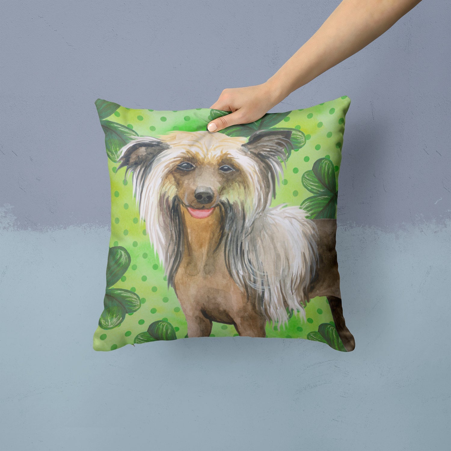 Chinese Crested St Patrick's Decorative Throw Pillow 14x14 Indoor Outdoor Accent Cushion, Fabric Cover with Insert for Sofa, Bed, Porch & Living Room