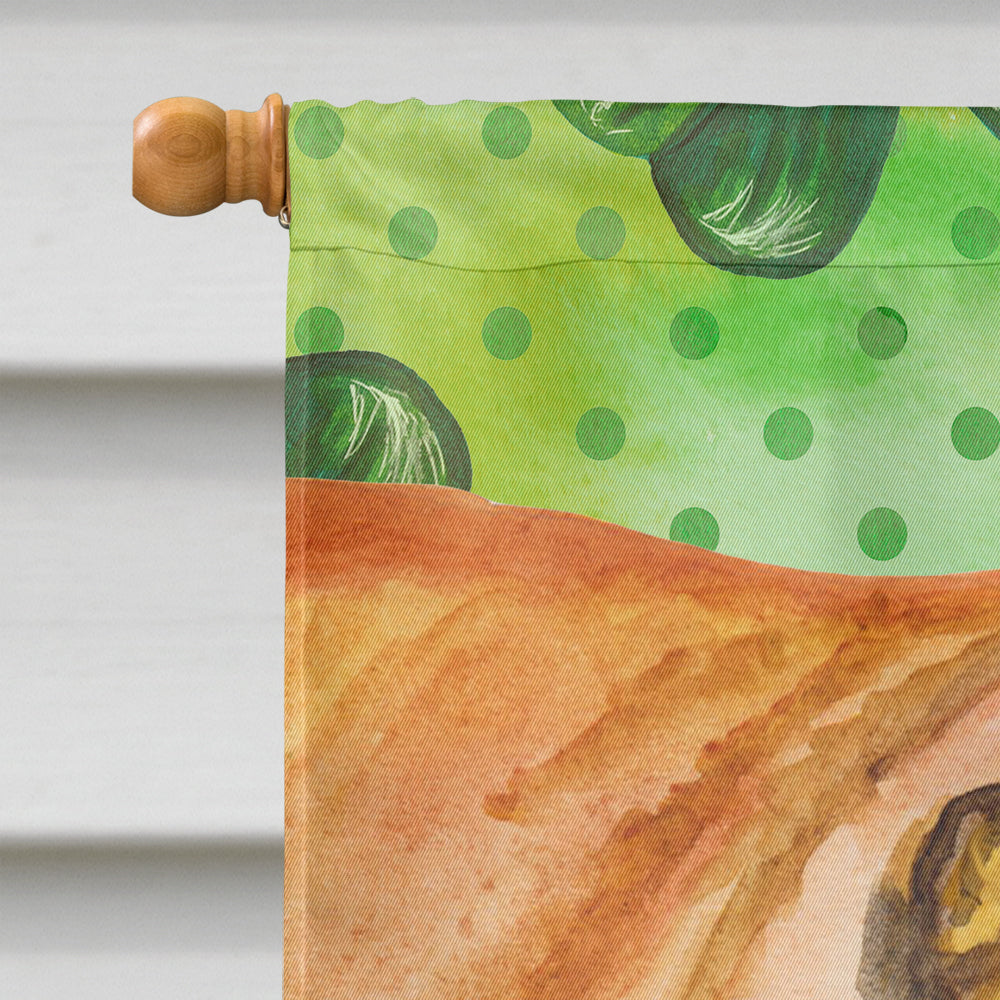 Shar Pei St Patrick's House Flag 28x40 Porch Sleeve Pole Decorative Outside Yard Banner Artwork Wall Hanging, Polyester