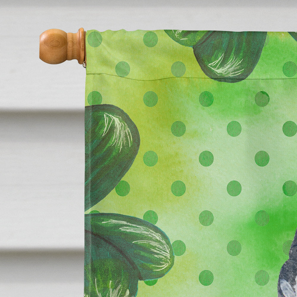 Schnauzer St Patrick's House Flag 28x40 Porch Sleeve Pole Decorative Outside Yard Banner Artwork Wall Hanging, Polyester