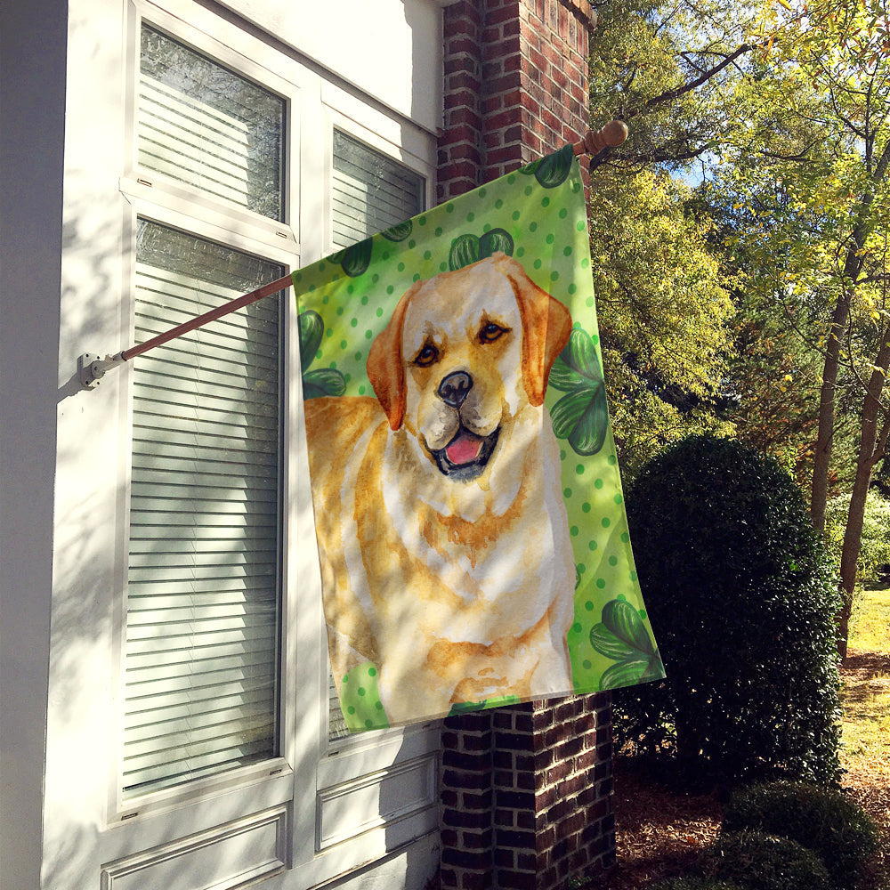 Golden Retriever St Patrick's House Flag 28x40 Porch Sleeve Pole Decorative Outside Yard Banner Artwork Wall Hanging, Polyester