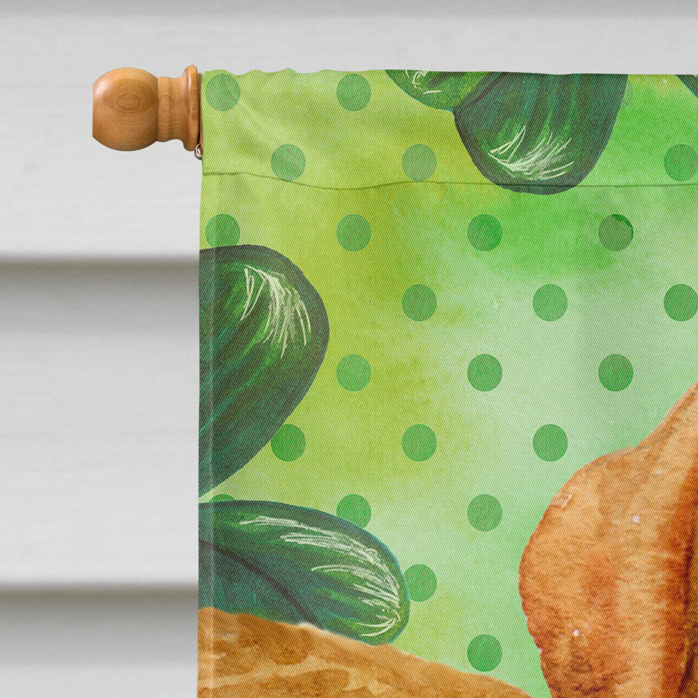 Golden Retriever St Patrick's House Flag 28x40 Porch Sleeve Pole Decorative Outside Yard Banner Artwork Wall Hanging, Polyester