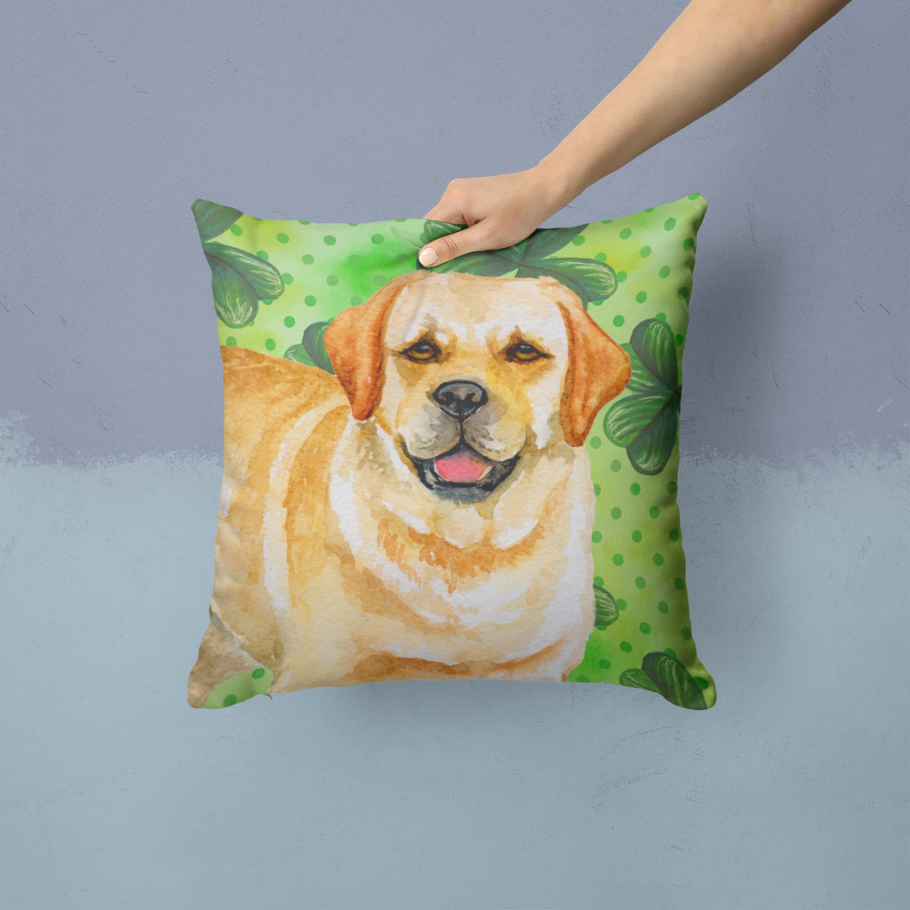 Golden Retriever St Patrick's Decorative Throw Pillow 14x14 Indoor Outdoor Accent Cushion, Fabric Cover with Insert for Sofa, Bed, Porch & Living Room