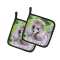 Poodle St Patrick's Pot Holder Set of 2 Heat Resistant Quilted Hot Pads 7.5 x 7.5 Inch, Insulated Kitchen Trivets for Cooking & Baking