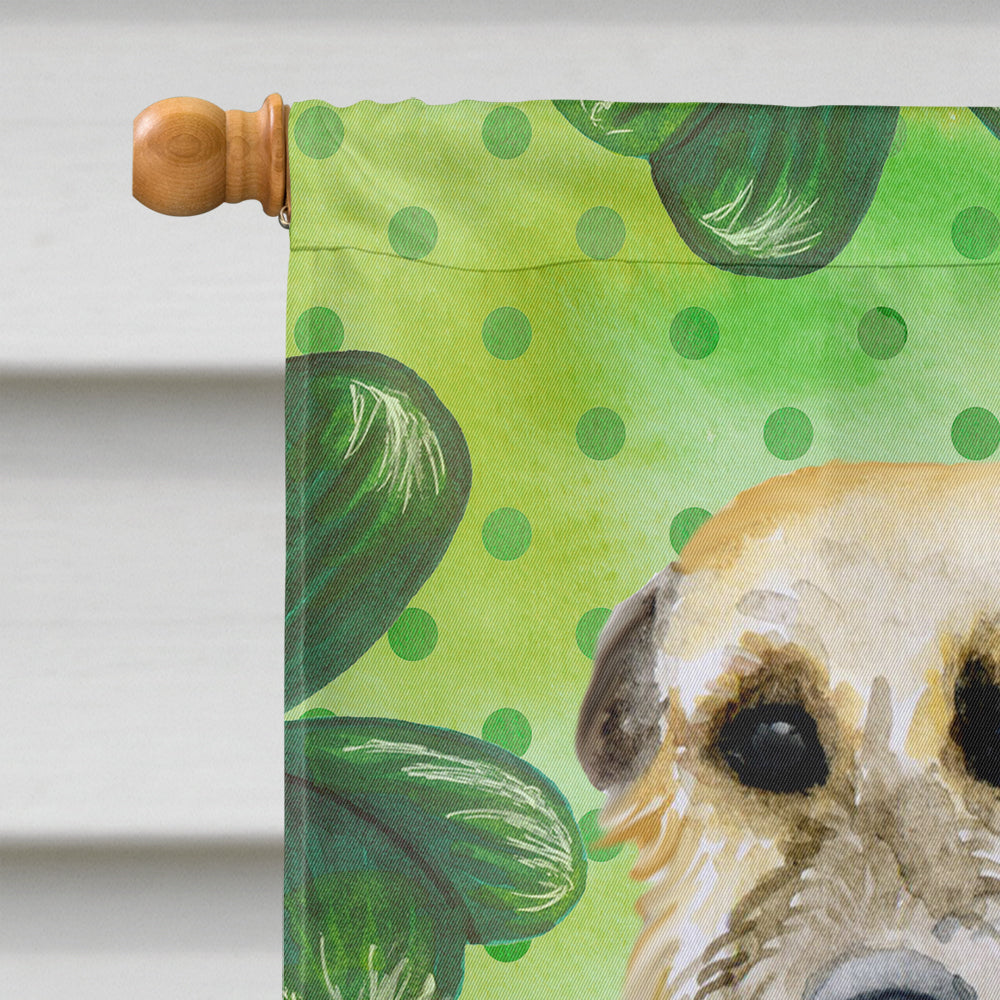 Irish Wolfhound St Patrick's House Flag 28x40 Porch Sleeve Pole Decorative Outside Yard Banner Artwork Wall Hanging, Polyester