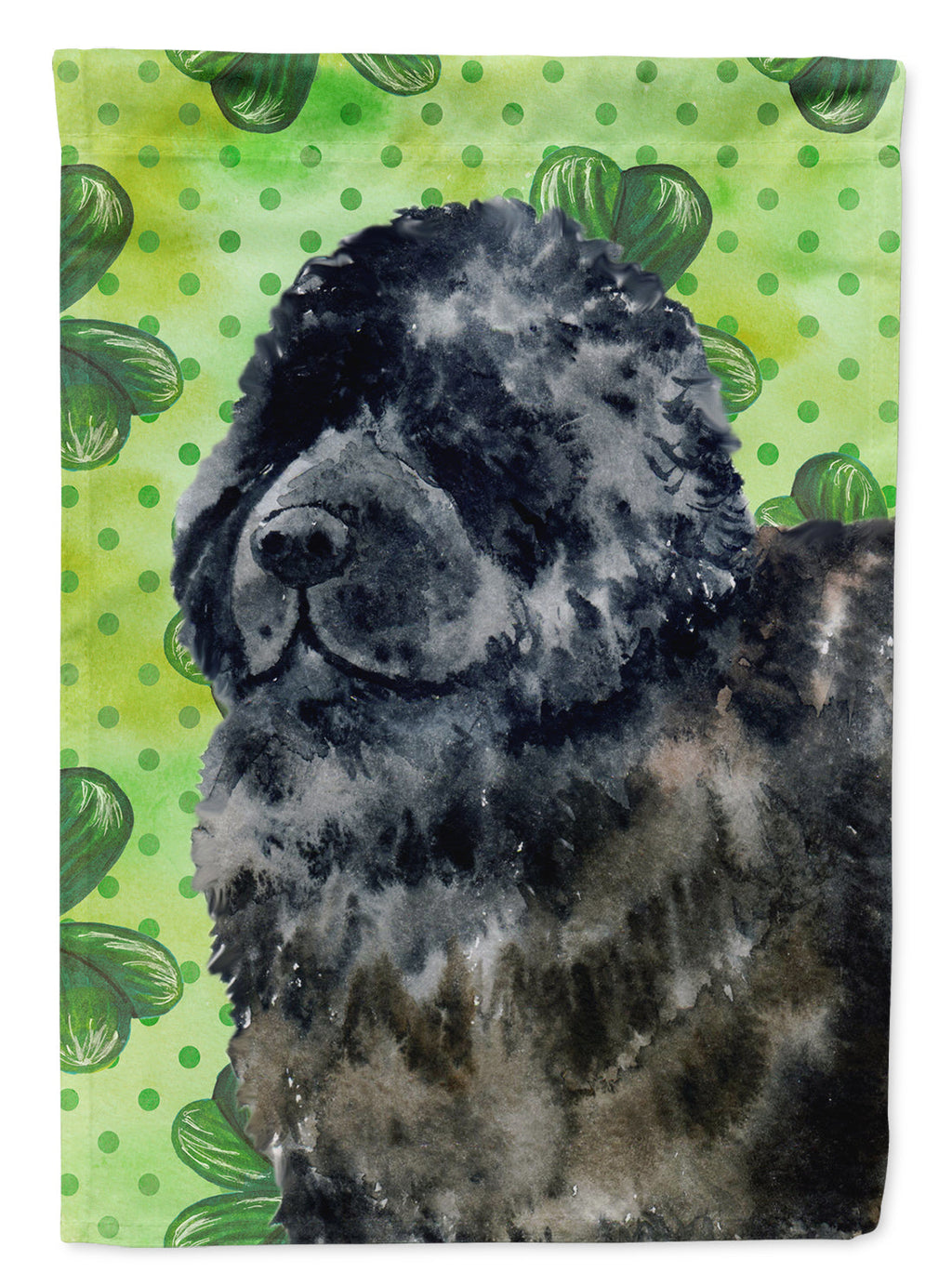Newfoundland St Patrick's House Flag 28x40 Porch Sleeve Pole Decorative Outside Yard Banner Artwork Wall Hanging, Polyester