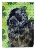 Newfoundland St Patrick's House Flag 28x40 Porch Sleeve Pole Decorative Outside Yard Banner Artwork Wall Hanging, Polyester