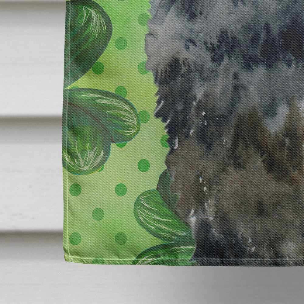 Newfoundland St Patrick's House Flag 28x40 Porch Sleeve Pole Decorative Outside Yard Banner Artwork Wall Hanging, Polyester