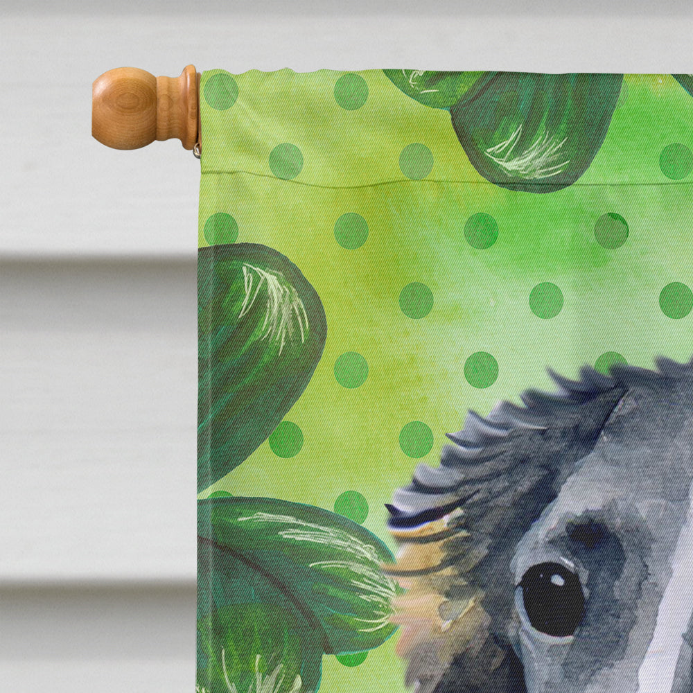 Borzoi St Patrick's House Flag 28x40 Porch Sleeve Pole Decorative Outside Yard Banner Artwork Wall Hanging, Polyester
