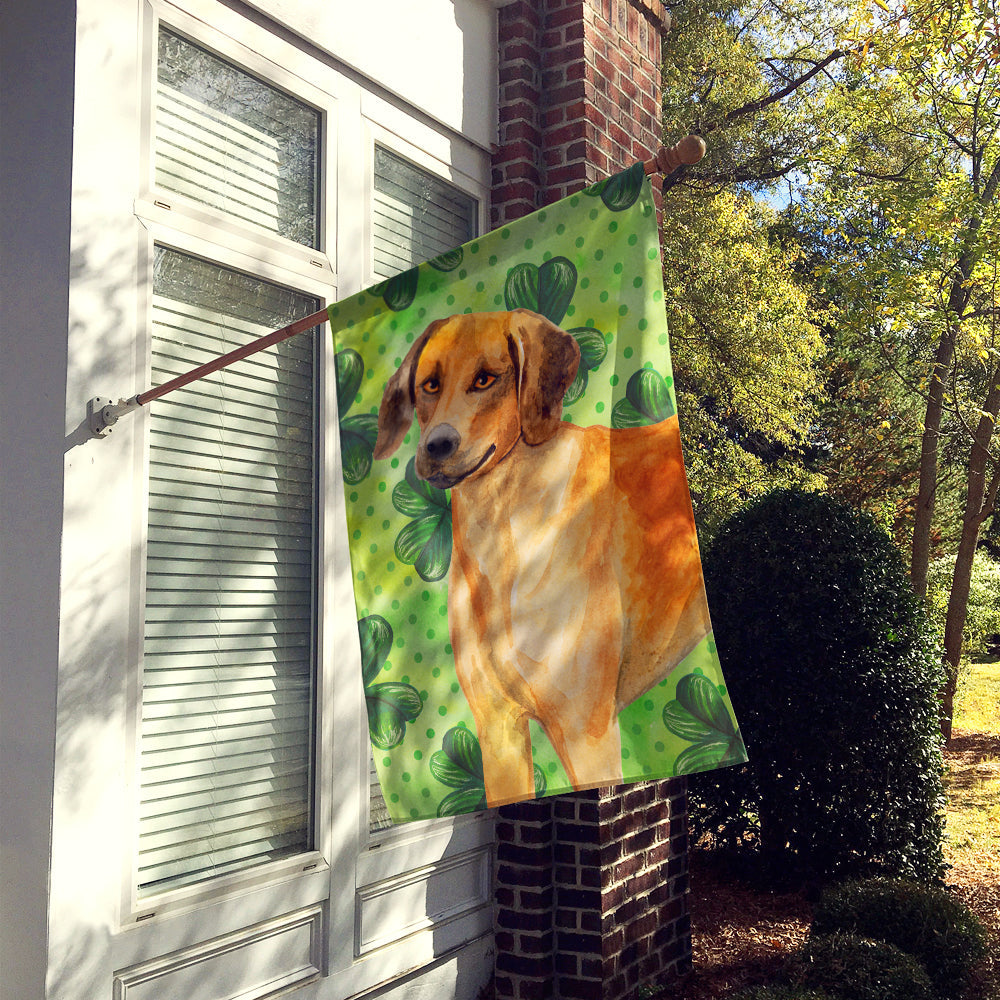 Rhodesian Ridgeback St Patrick's House Flag 28x40 Porch Sleeve Pole Decorative Outside Yard Banner Artwork Wall Hanging, Polyester