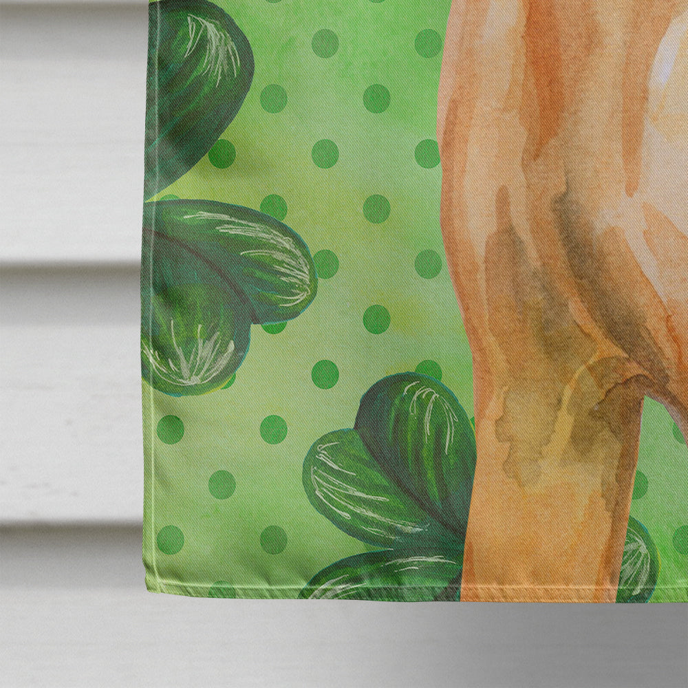 Rhodesian Ridgeback St Patrick's House Flag 28x40 Porch Sleeve Pole Decorative Outside Yard Banner Artwork Wall Hanging, Polyester