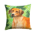 Rhodesian Ridgeback St Patrick's Decorative Throw Pillow 14x14 Indoor Outdoor Accent Cushion, Fabric Cover with Insert for Sofa, Bed, Porch & Living Room