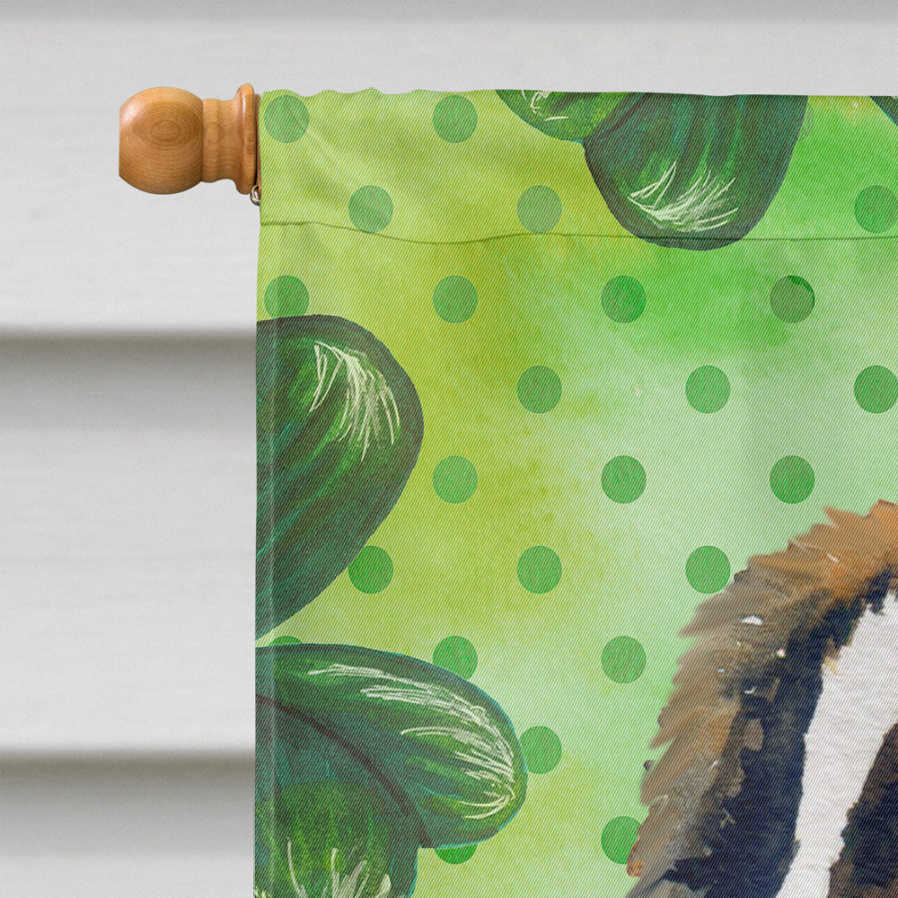 Saint Bernard St Patrick's House Flag 28x40 Porch Sleeve Pole Decorative Outside Yard Banner Artwork Wall Hanging, Polyester