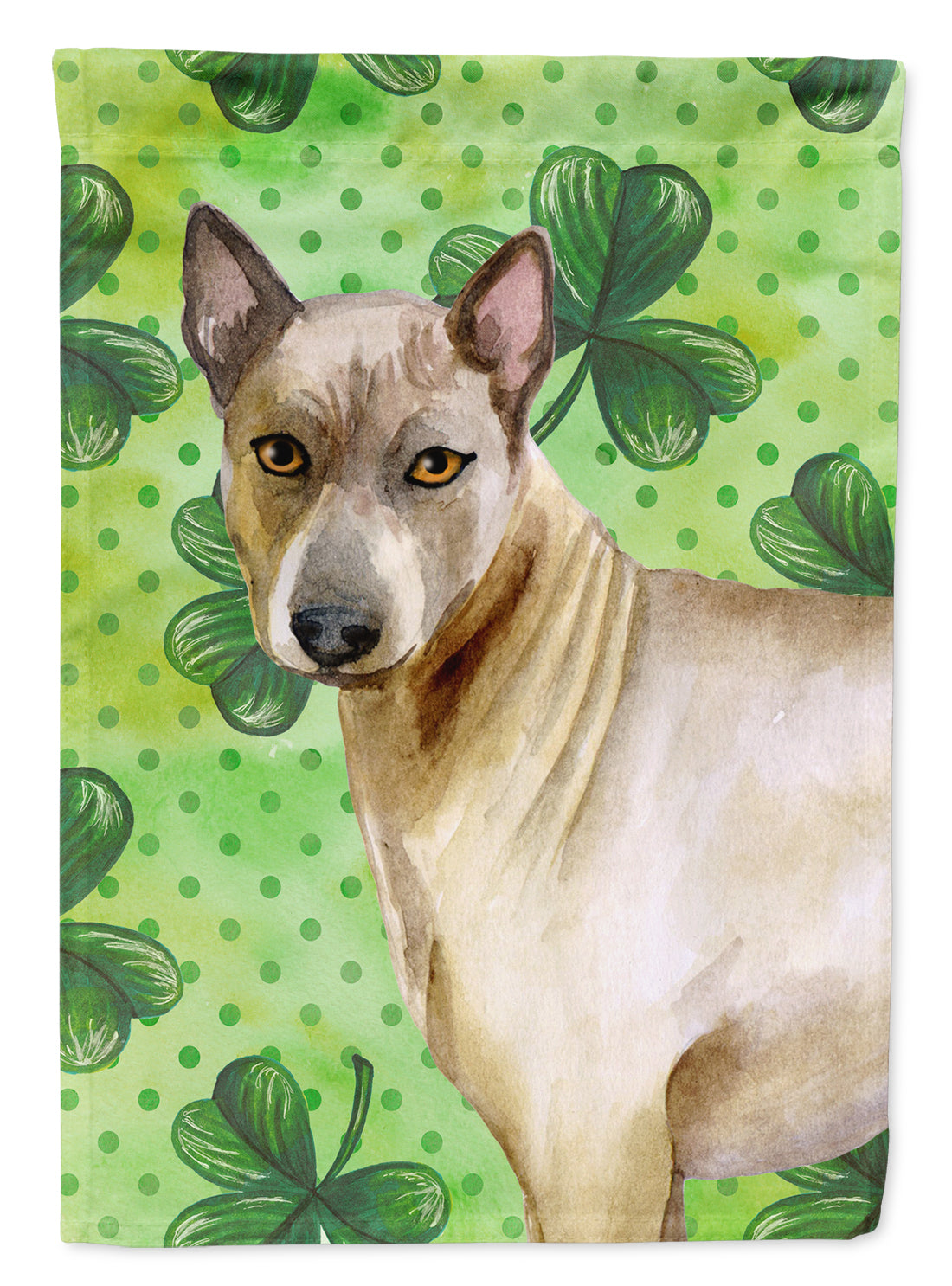 Thai Ridgeback St Patrick's House Flag 28x40 Porch Sleeve Pole Decorative Outside Yard Banner Artwork Wall Hanging, Polyester
