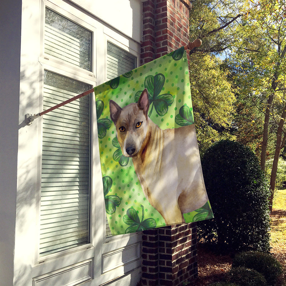 Thai Ridgeback St Patrick's House Flag 28x40 Porch Sleeve Pole Decorative Outside Yard Banner Artwork Wall Hanging, Polyester